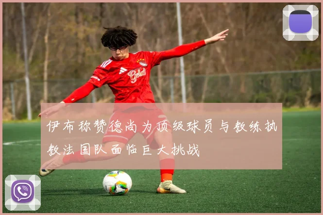 伊布称赞德尚为顶级球员与教练执教法国队面临巨大挑战