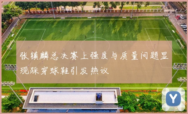 张镇麟总决赛上强度与质量问题显现踩穿球鞋引发热议